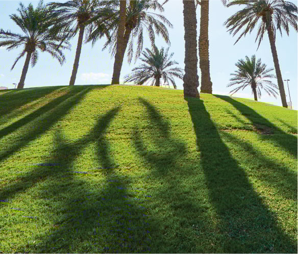 متنزه بوابة ياس