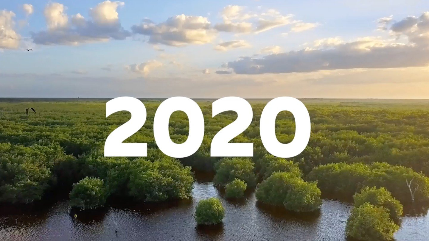 نتائج الدار لسنة 2020